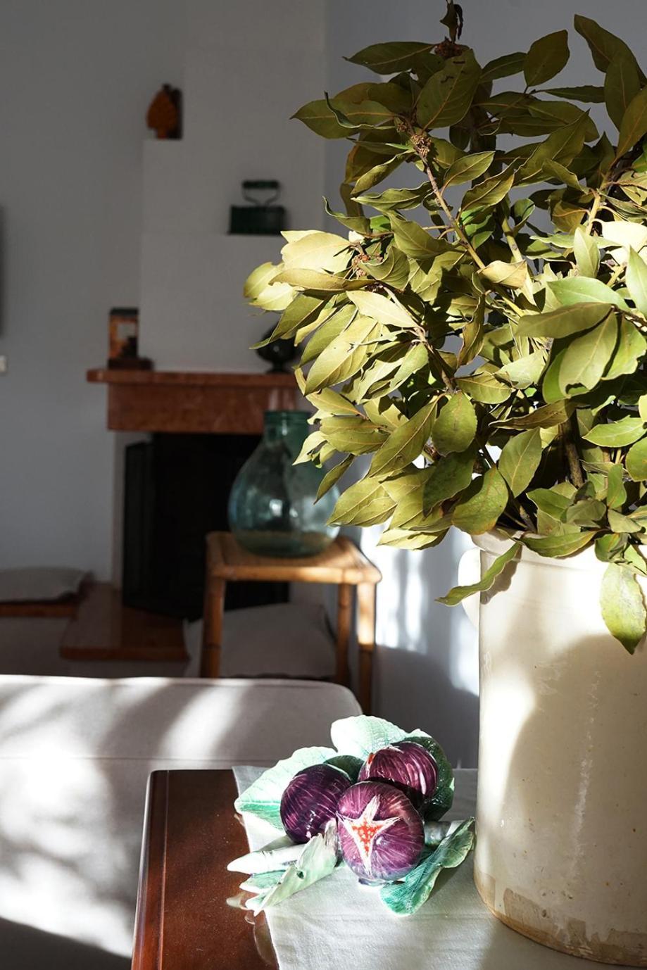 Villa Gioia Ostuni Zewnętrze zdjęcie